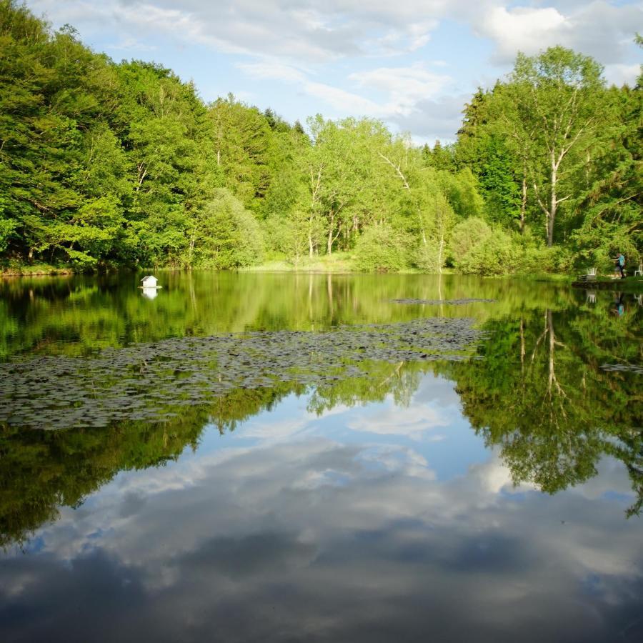 Le Crusoe A L'Etang D'Anty - Appartement Saint-Nabord Eksteriør bilde