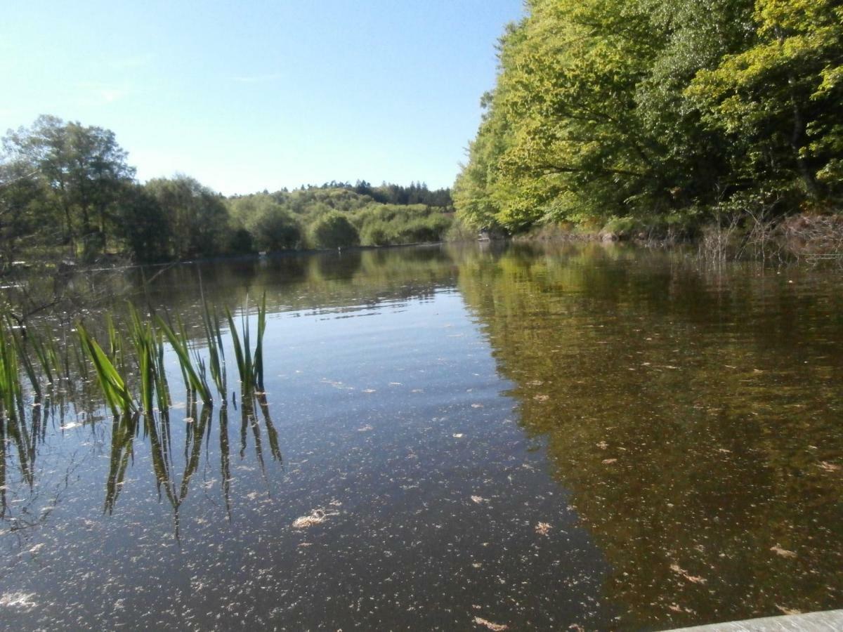 Le Crusoe A L'Etang D'Anty - Appartement Saint-Nabord Eksteriør bilde